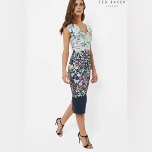 Ted Baker London Floral Butterfly Dress Brynee Focus Bouquet | Size 3